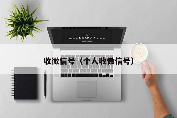 收微信号（个人收微信号）