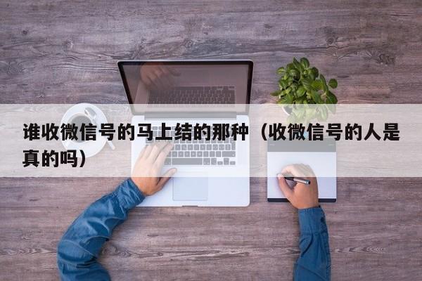 谁收微信号的马上结的那种（收微信号的人是真的吗）