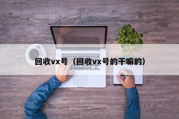 回收vx号（回收vx号的干嘛的）